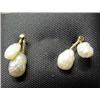 Image 1 : 14k Yellow Gold Mississippi Pearl Earrings (100)
