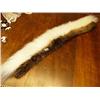 Image 1 : Polar Bear and Beaver Ruff 38"  Long  (1)