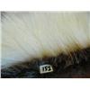 Image 2 : Polar Bear and Beaver Ruff 38"  Long  (1)
