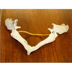 Whalebone  with 3 eagles and 2 fish (1)