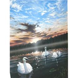 Signed and Numbered Print 150 /1700 Swans Early Light 19 1/2" x 11 1/2" by  Ed Tussey (12)