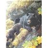 Image 1 : Signed and Numbered Print Carl Brenders 5/1500 Image Size is: 34" x 24"  Mama Black Bear and 2 Babie