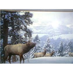 Signed and Numbered Print Daniel Smith Double Matted and Framed 415/950 6 Point Bull elk with 3 cows