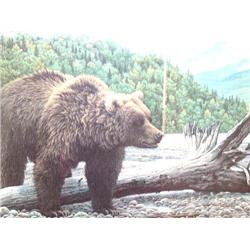 301/750 Double Matted and Framed  Grizzly bear on a Sandbar "End of Summer" by Jim Beaudoin (6)