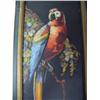 Image 2 : Original Oil Painting on Board  24" x  7" Image Size. Earling Dahn of Parrot  b. 1907 d1970 San Fran