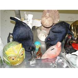 Group of Assorted Birds