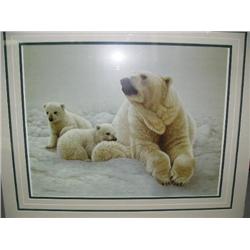 C. Rudolph Print Double mounted 201/480  Mother Polar Bear  and 2 Cubs  14" x 18 (6)