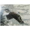 Image 1 : Eagle Print by RS Parker   Image Size  19" x 31" (68)