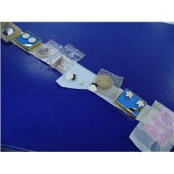 Lot of Small Rubies, Ivory earrings, State Fair Pin, Blue Stone Earrings, Fur Rondy Coin, Ivory Ulu 