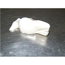 2 1/2" Ivory Whale  (37)
