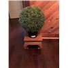 Image 1 : Decorative Artificial Plant, With Plant Stand