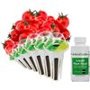 Image 1 : NEW AEROGARDEN HEIRLOOM CHERRY TOMATOES SEED POD