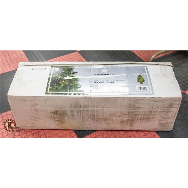 CHRISTMAS TREE IN BOX