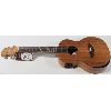 Image 1 : NEW DONNER ACOUSTIC ELECTRIC UKULELE WITH BUILT IN EQ & ACCESSORIES