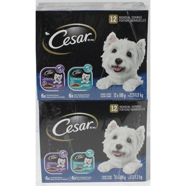 24PK CESAR WET DOG FOOD 