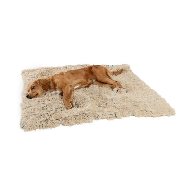 LUXURY SHAG PET THROW BLANKET 30  X 40 