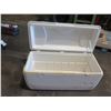 Image 2 : Igloo White Cooler 39"x21"L