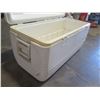 Image 3 : Igloo White Cooler 39"x21"L