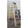 Image 1 : Metal 5-Step Ladder