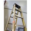 Image 2 : Green Bull Metal 7-Step Ladder