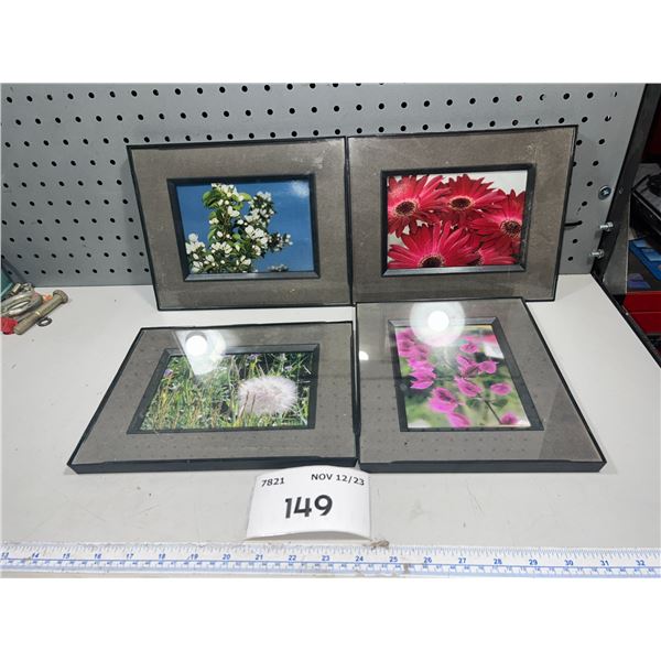 4 shadow box frames - Schmalz Auctions