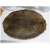 Image 1 : beaver pelt - stretched, untanned