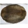 Image 1 : beaver pelt - stretched, untanned