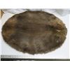 Image 1 : beaver pelt - stretched, untanned