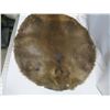 Image 2 : beaver pelt - stretched, untanned