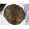 Image 2 : beaver pelt - stretched, untanned