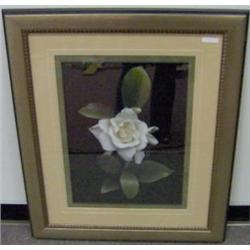 FRAMED PRINT "GARDENIA GLORY"    ITEM #11183