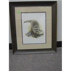 FRAMED PRINT "RACCOON"  RON PARKER  ITEM #10406