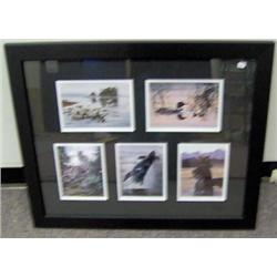 FRAMED PRINT " ANIMALS OF THE WEST COAST" LIZ MITTEN RYAN  ITEM #10777