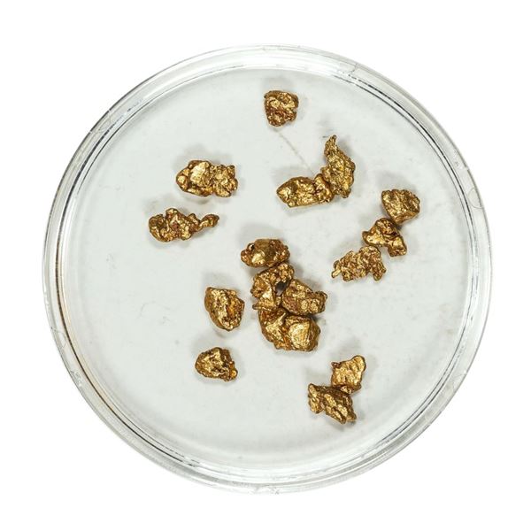 Gold Nuggets 2.88 Grams Total Weight