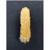 Image 3 : Small Sterling Brush 1920's