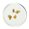 Image 1 : Lot of Gold Nuggets 1.64 Grams Total Weight