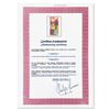 Image 3 : Henri Matisse (1869-1954) "Vegetaux" Limited Edition Lithograph on Paper