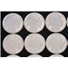 Image 2 : Twenty (20) 2015 1oz. Silver Buffalo Rounds
