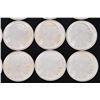 Image 5 : Twenty (20) 2015 1oz. Silver Buffalo Rounds