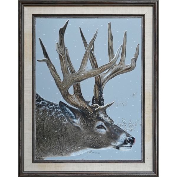 Randy Fehr Whitetail Deer Original Oil Painting