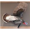 Image 1 : Flying Rio Grande Turkey Taxidermy Mount