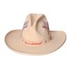 Image 2 : Collection of (4) Texas Centennial Cowboy Hats