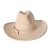 Image 3 : Collection of (4) Texas Centennial Cowboy Hats