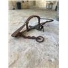 Image 1 : Grizzly Bear No. 6 Steel Trap