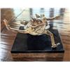 Image 2 : Great Horned Lizard Bronze by Joshua Tobey