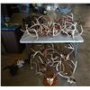 Image 2 : Collection of Antlers