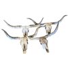 Image 1 : Four (4) Longhorn Skulls