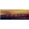 Image 3 : Carol Roberts Original Oil Painting