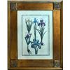 Image 2 : Pair of Vintage Framed Botanical Iris Plate Prints