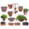 Image 1 : Collection of Outdoor Planters